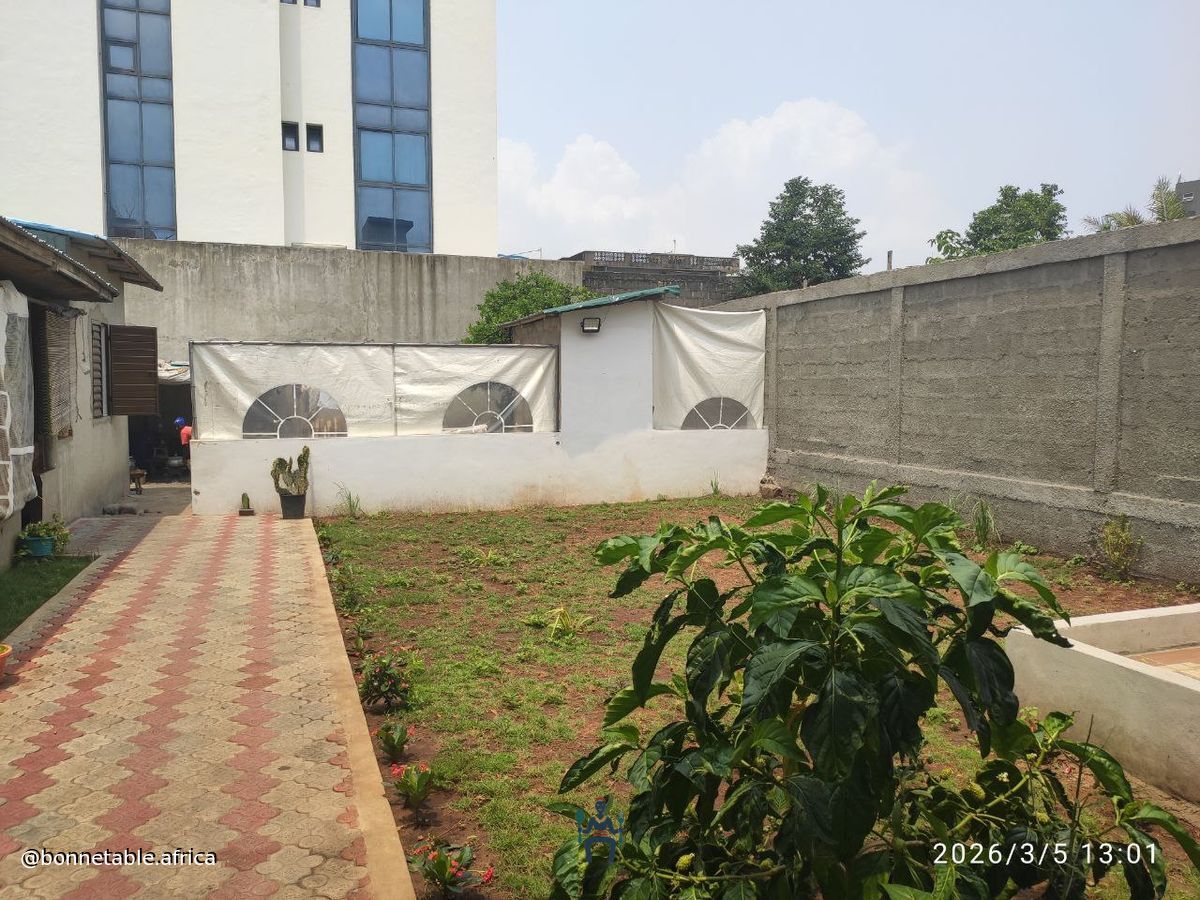 Chez Rachel - Photo 11